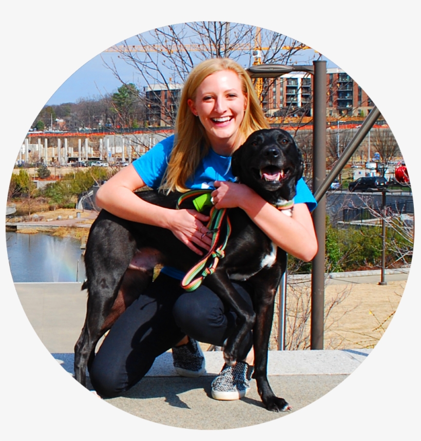 20 Pack Walks - Companion Dog, transparent png