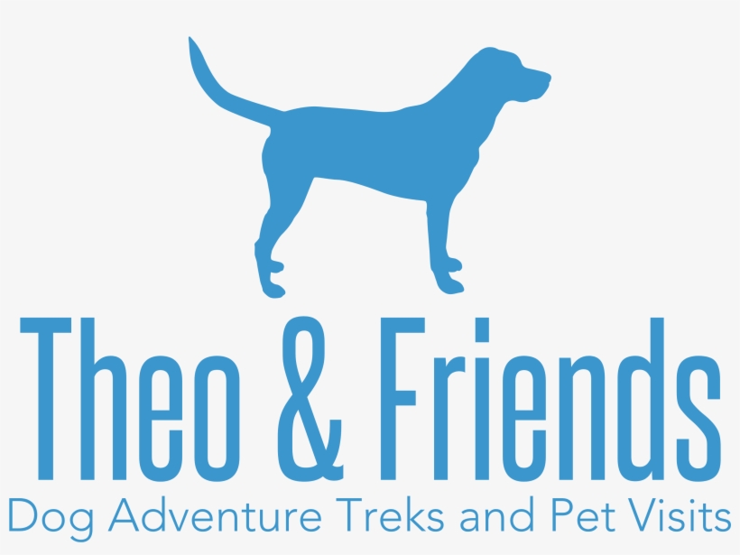 Dog Walking, Pet Sitting, And Adventure Treks By Theo - Hunting Dog, transparent png
