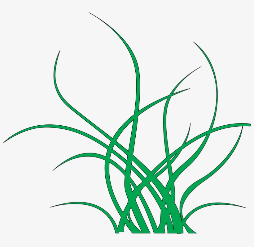 Seaweed Png - Algas Fundo Do Mar Png, transparent png