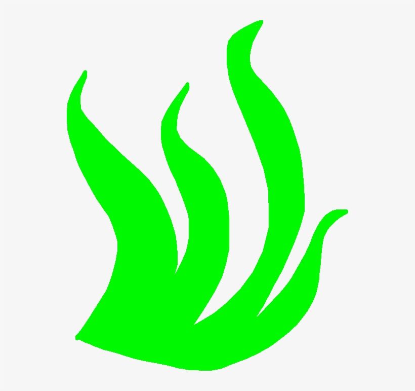 Seaweed - Seaweed, transparent png