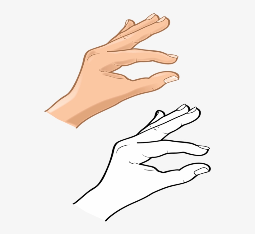 Hands 4 Vector - Drawing, transparent png