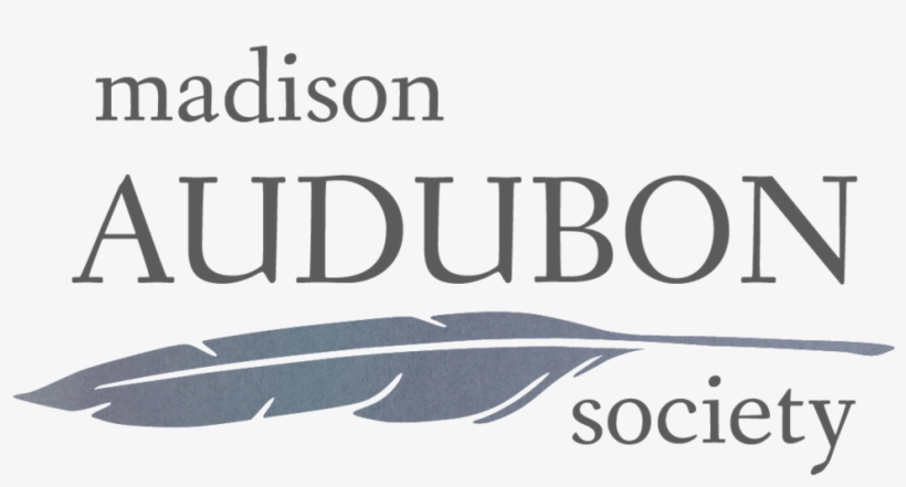 Mas-watercolorlogo - Madison Audubon Society, transparent png