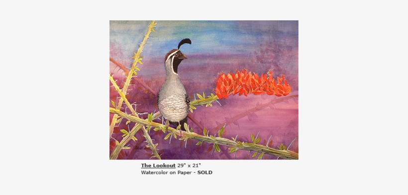 Quail, transparent png