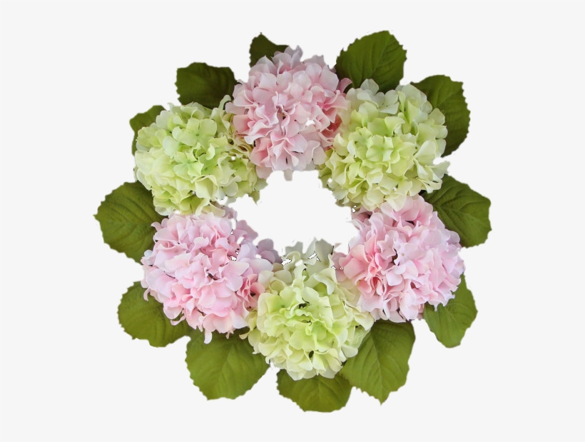Forgetmenot Frames Png Pinterest And More - Portable Network Graphics, transparent png