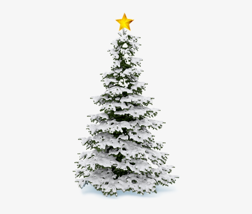 Thanks To All Our Generous Sponsors - Christmas Tree Snow Png, transparent png