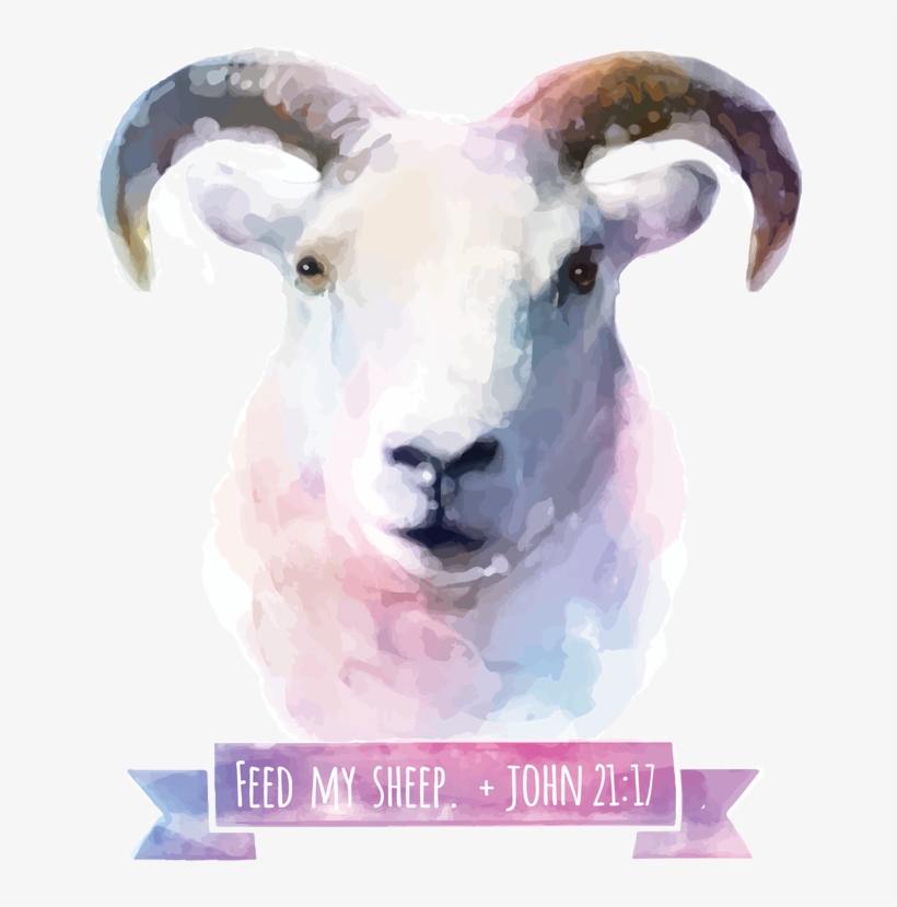 Feed My Sheep - Animal Watercolor Background Art, transparent png