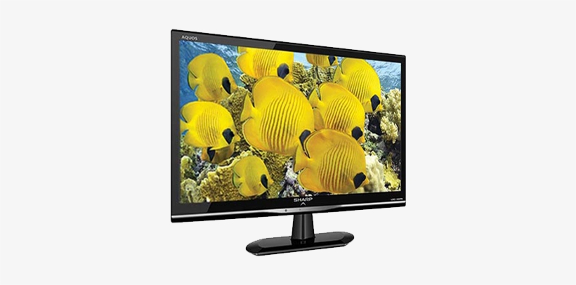Tv, transparent png