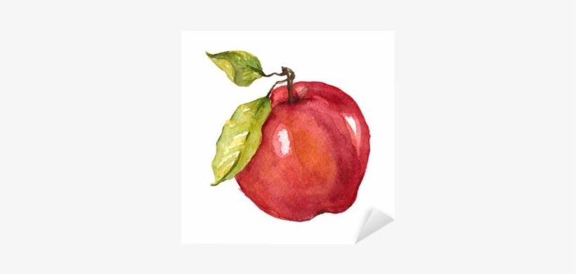 Apple Fruit Drawing Watercolor, transparent png