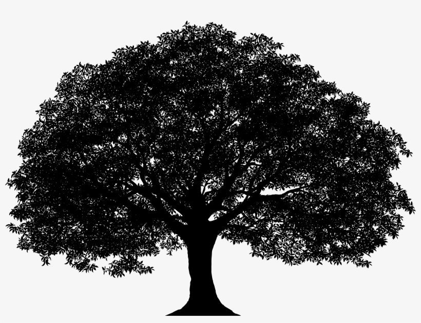 Tree Silhouette Png Clip Art Image - Tree Silhouette Png, transparent png