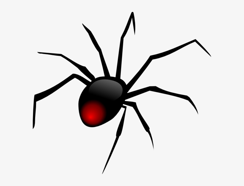 Cartoon Spider Template - Spider Clipart Png, transparent png