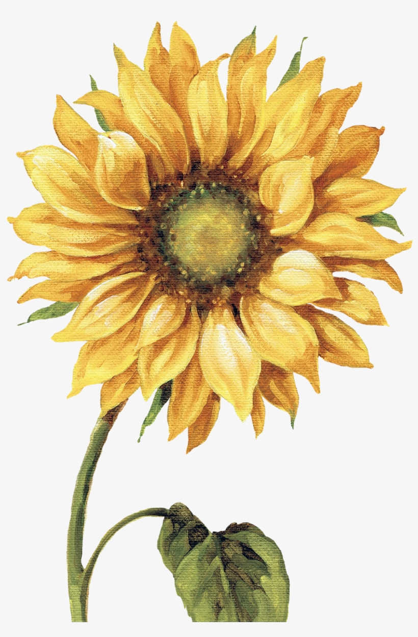 Chalkboard Clipart Sunflower - Lisa Audit - Under The Sun I Canvas, transparent png