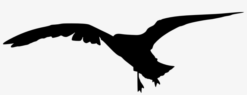 Free Download - Eagle, transparent png
