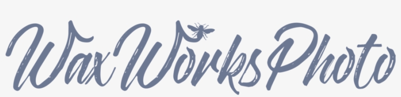 Newlogo, transparent png