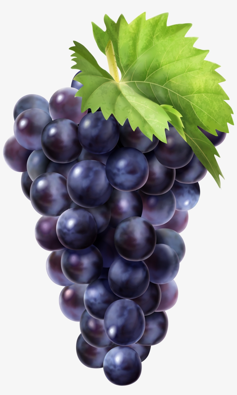 Grapes Png, transparent png
