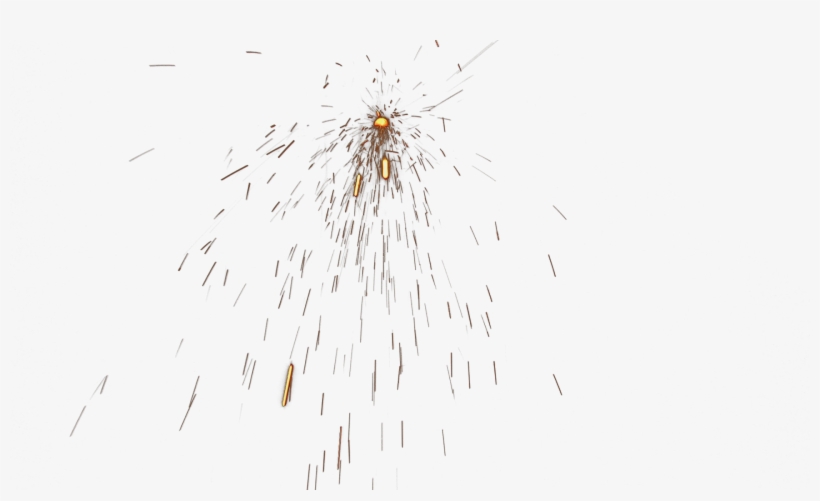 Insect, transparent png