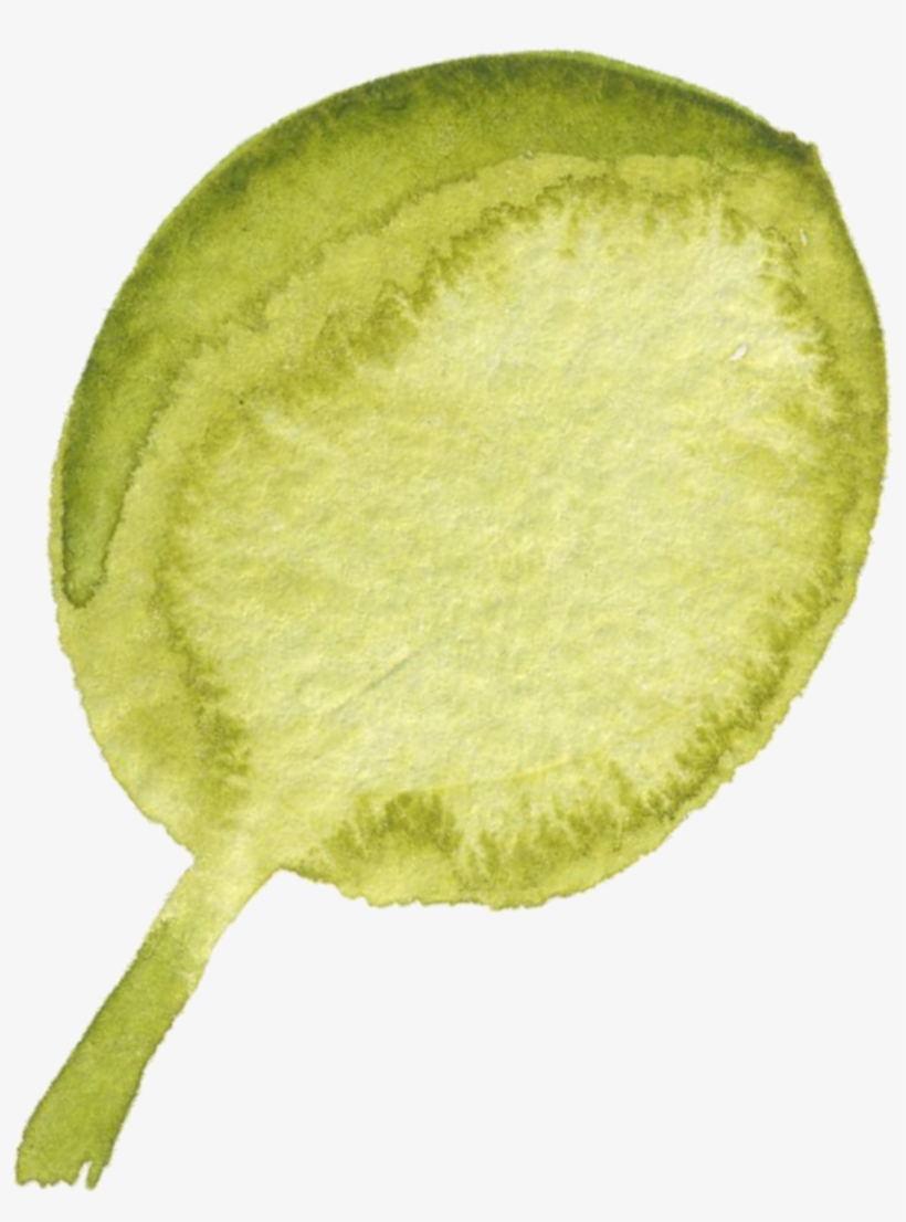 How Does A Treatment Feel - Kiwifruit, transparent png