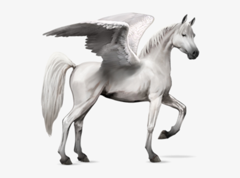 Share This Image - Horse With Wings Png, transparent png