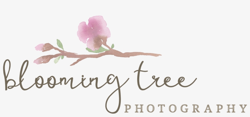 Watercolorlogo3 - Rosa Glauca, transparent png