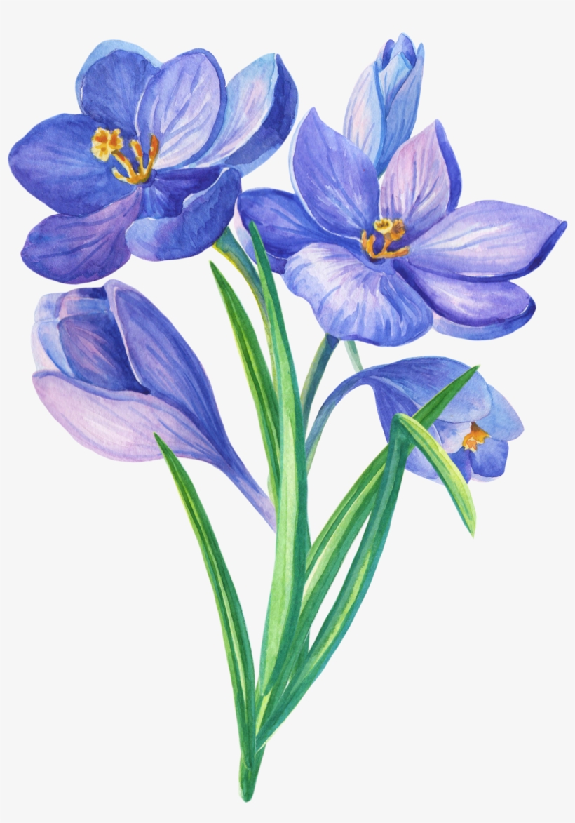 Pin By Vidhi Savla On Florals - Illustration, transparent png