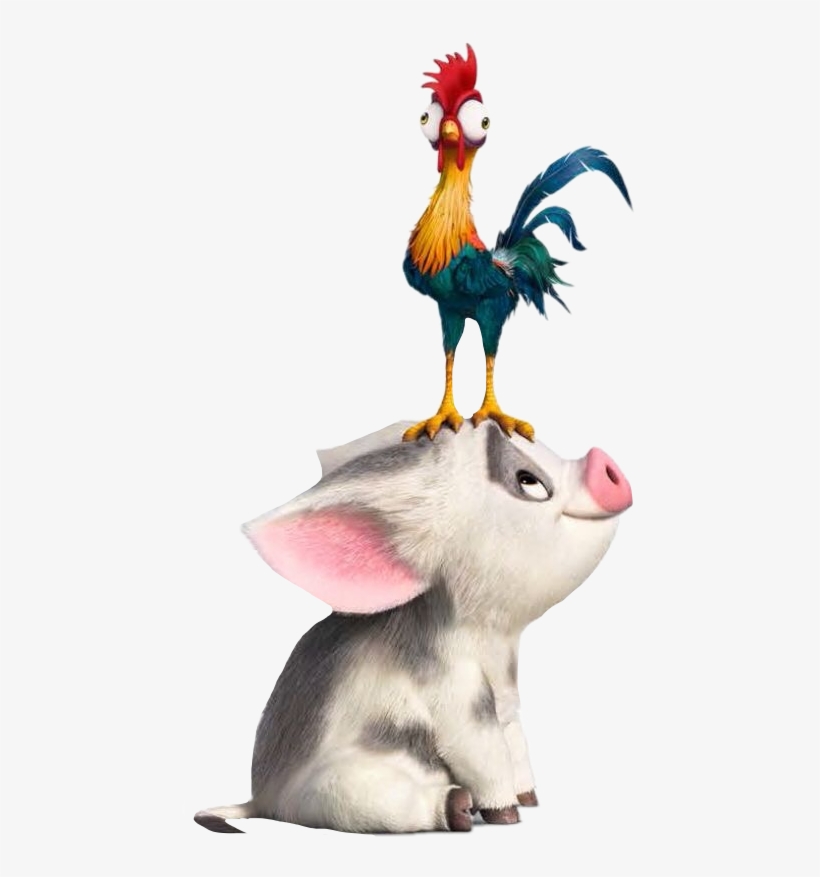Hei Hei The Rooster Moana The Walt Disney Company Film - Moana Pua And Hei Hei, transparent png