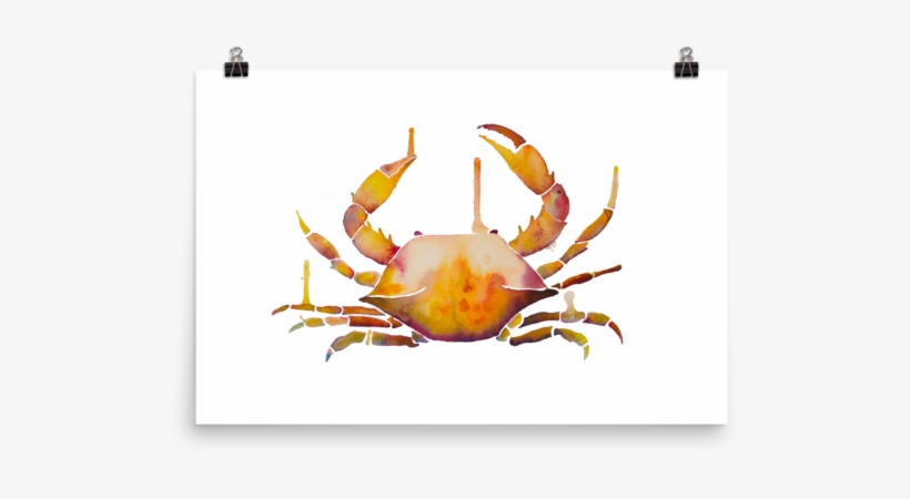 Crab, transparent png