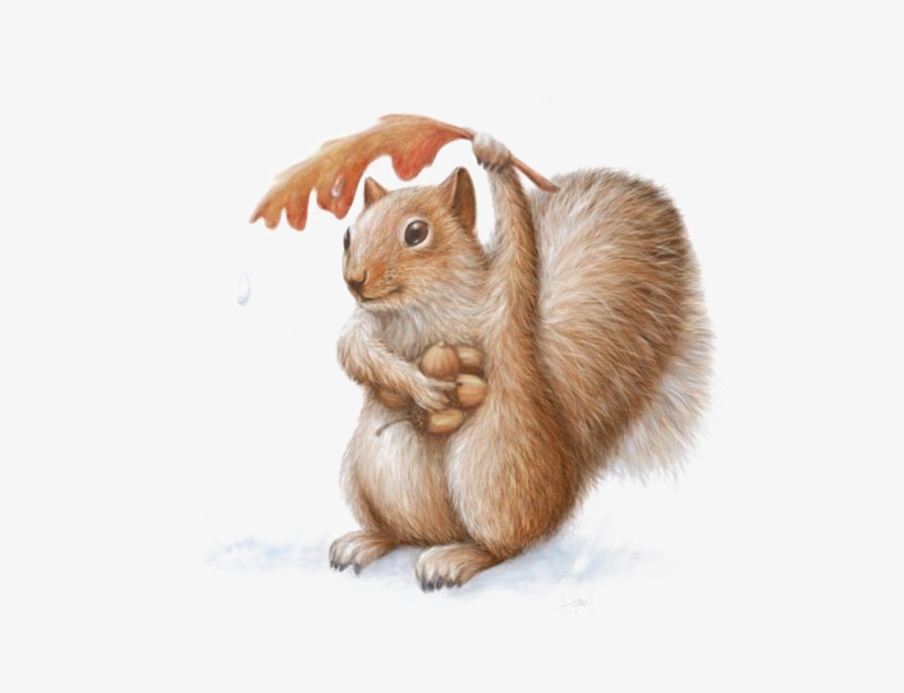 Squirrel Chipmunk Art Watercolor Painting Drawing - 10k Black Hills Gold Band Ring Rose, transparent png
