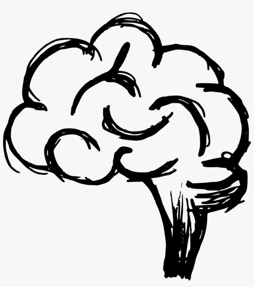 Png File Size - Brain Drawing, transparent png