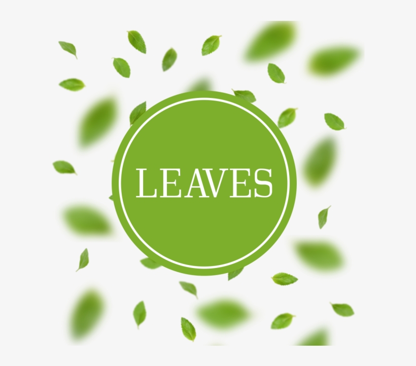 Leaves Arrangement Background With Blur Leaves, Leaves, - Leaf, transparent png
