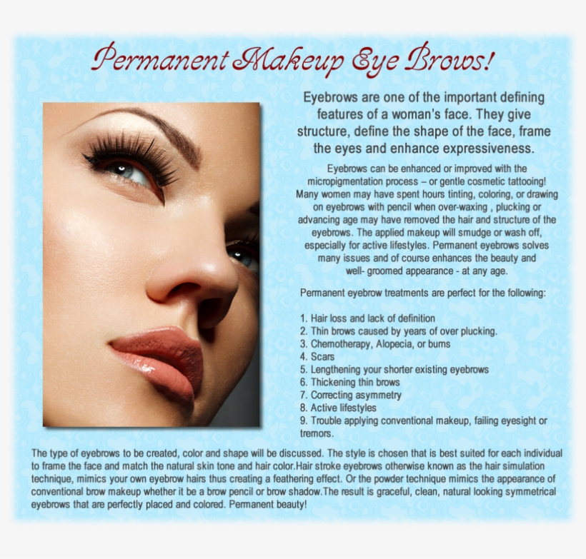 Classic Brows - Eyelash, transparent png