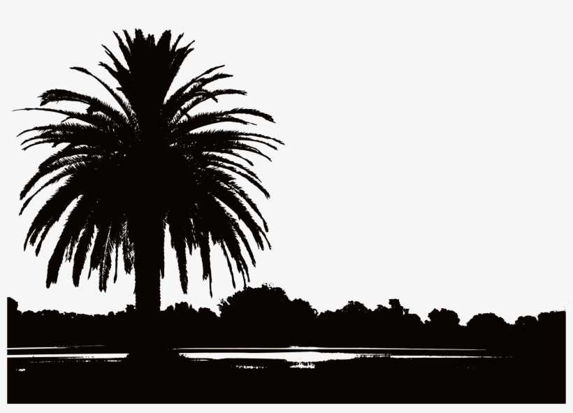 This Free Icons Png Design Of Palm Sunset Silhouette, transparent png