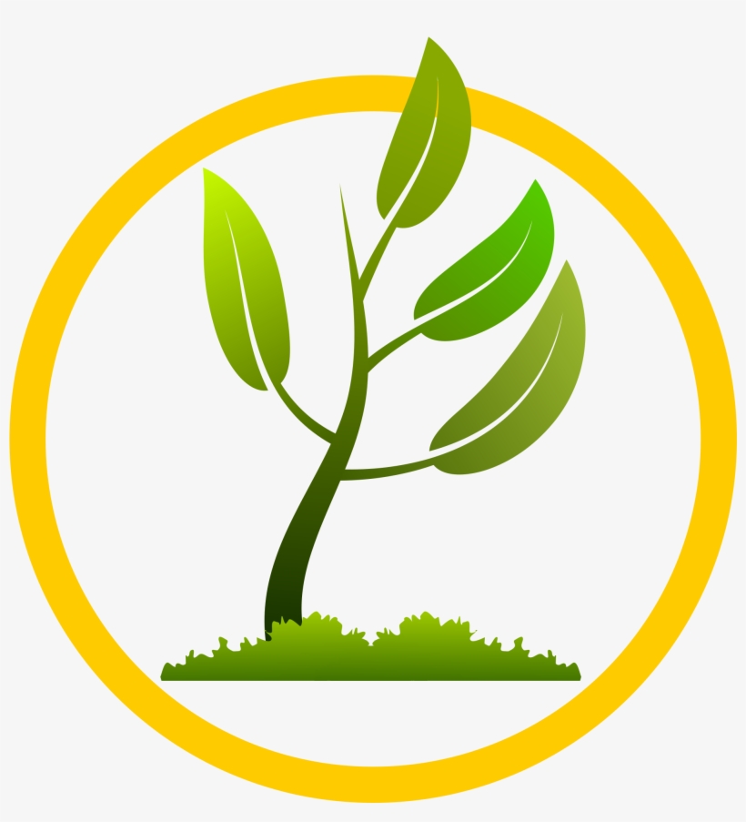 Image Black And White Big Image Png - Leaf Growing Png, transparent png