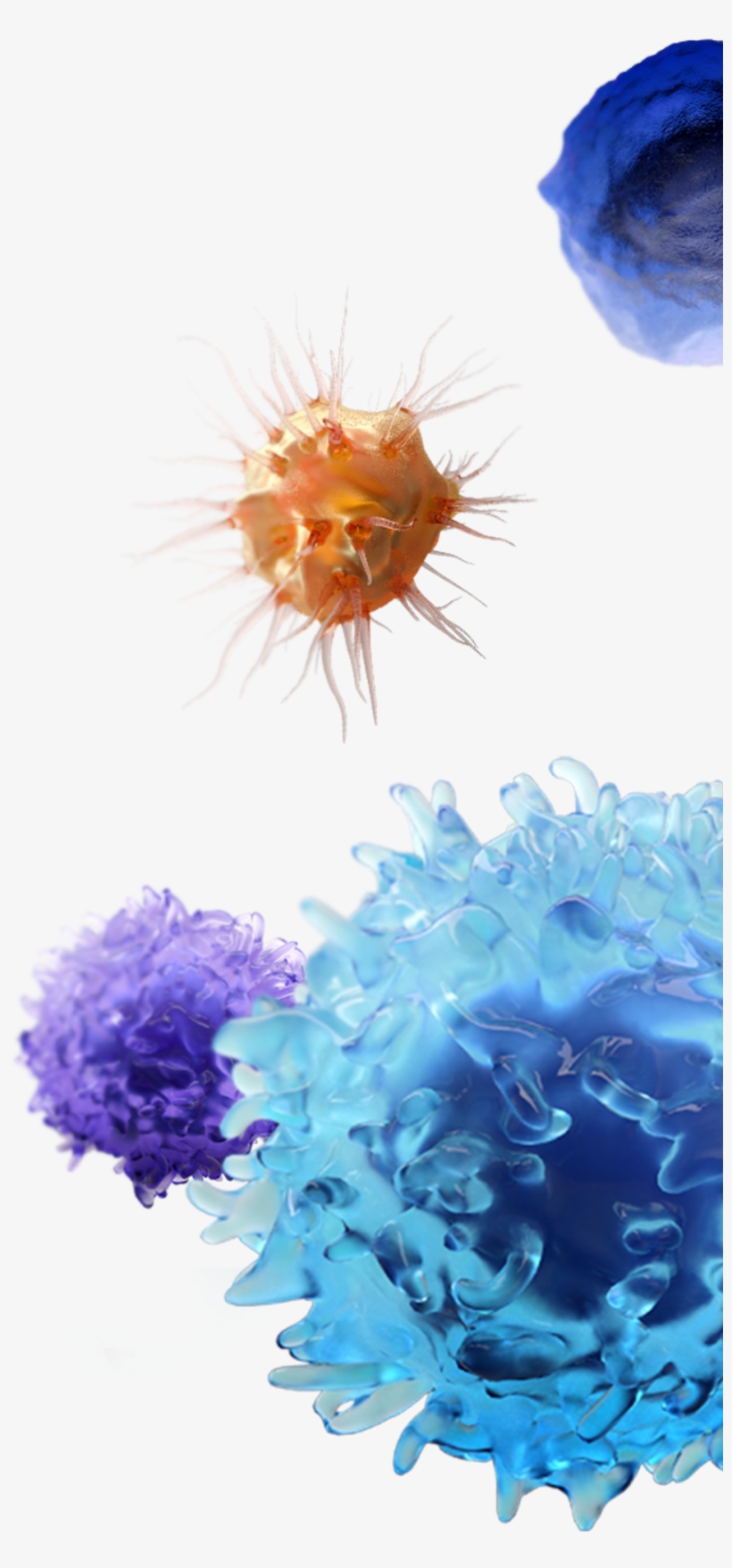 Molecules - Molecule, transparent png