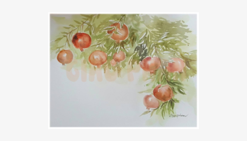 Rose Hip, transparent png