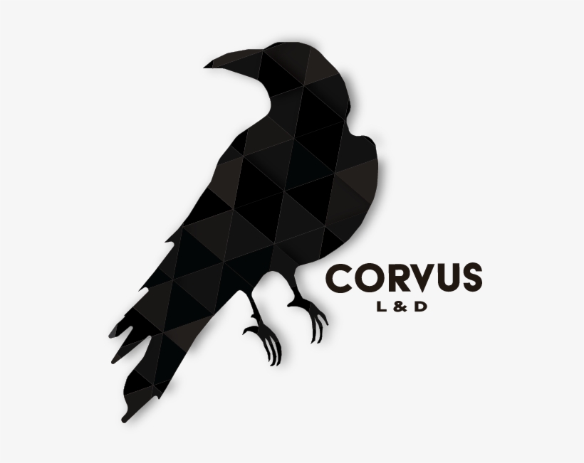 Vector Guillermo J Holguin - American Crow, transparent png