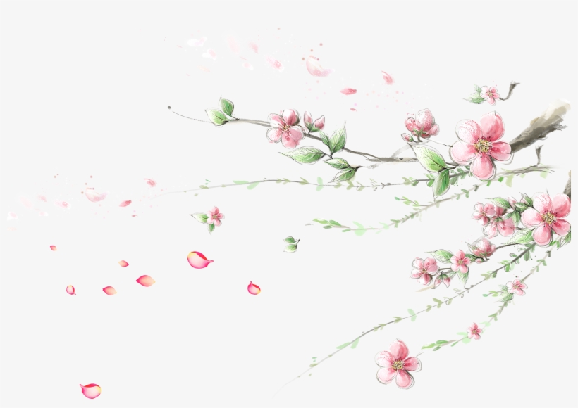 Cherry - Plum Blossom 4k Branches, transparent png