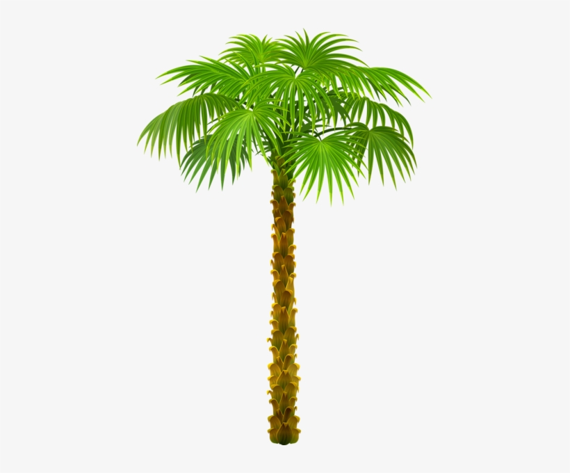 0, - Trees On Beach Png, transparent png