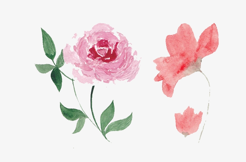 Flower Watercolor Png Free Watercolor Flower Png Pink 711x506 Png Download Pngkit