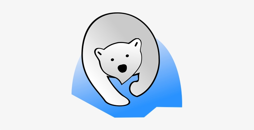 Polar Bear Bear Polar Nature Wildlife Anim - Polar Bear, transparent png
