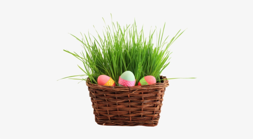 Easter Egg Basket Png Transparent Image - Happy Belated Birthday Kay, transparent png