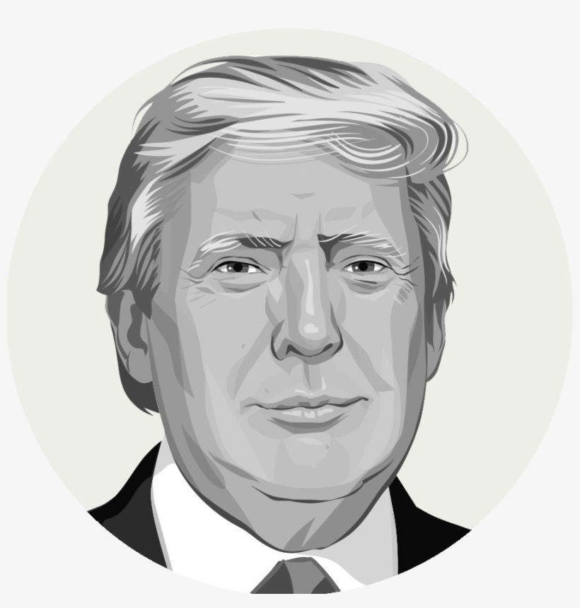 Today I'll Introduce How Computer Recognizes A Person's - Trump Insurance For Everybody, transparent png