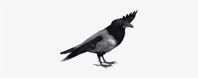 Hooded Crow - Ulquiorra Cifer, transparent png