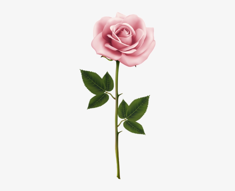 Pink Rose Png Clip Art Image - Shabby Restore Mushroom Knob, transparent png