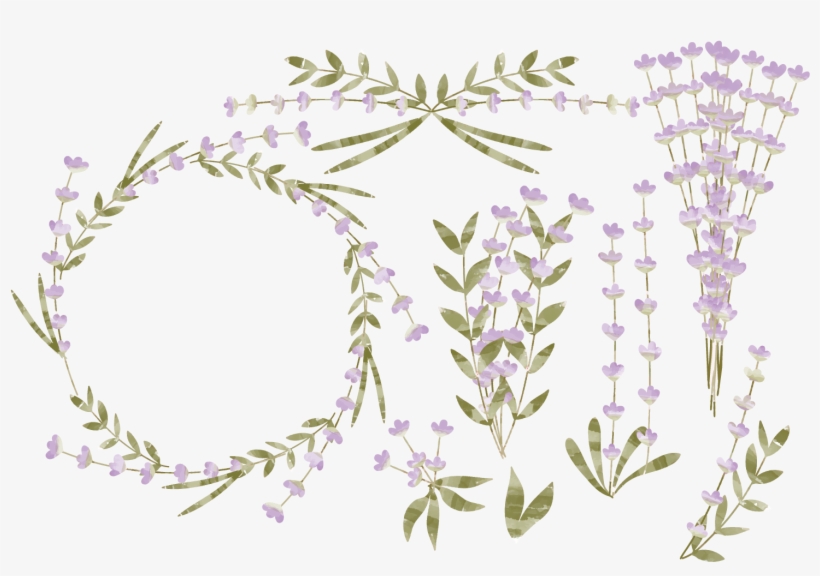 Watercolor Lavender Png - Png Flower Leaf Lavender, transparent png
