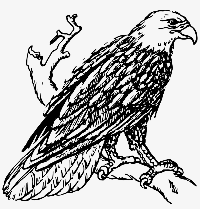How To Set Use Bald Eagle Clipart, transparent png