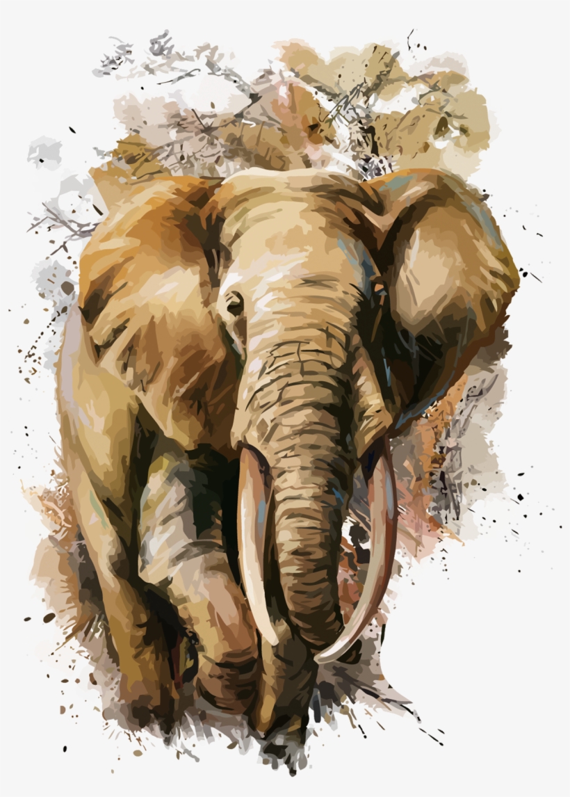 Elephant Watercolor, transparent png