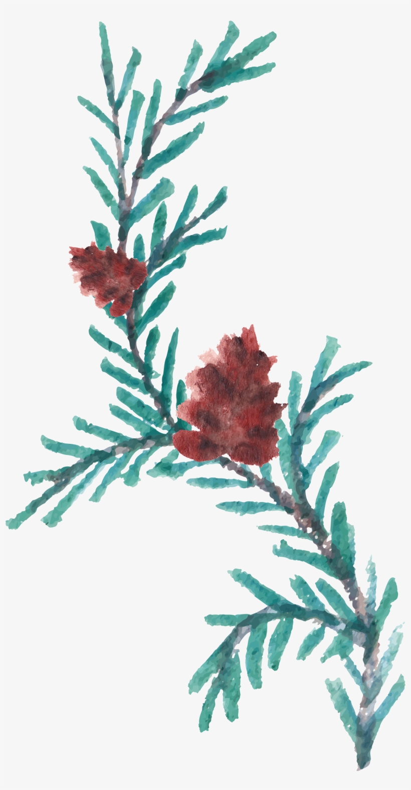Hand Painted Crimson Flowers Transprent Png Free - Watercolor Painting, transparent png