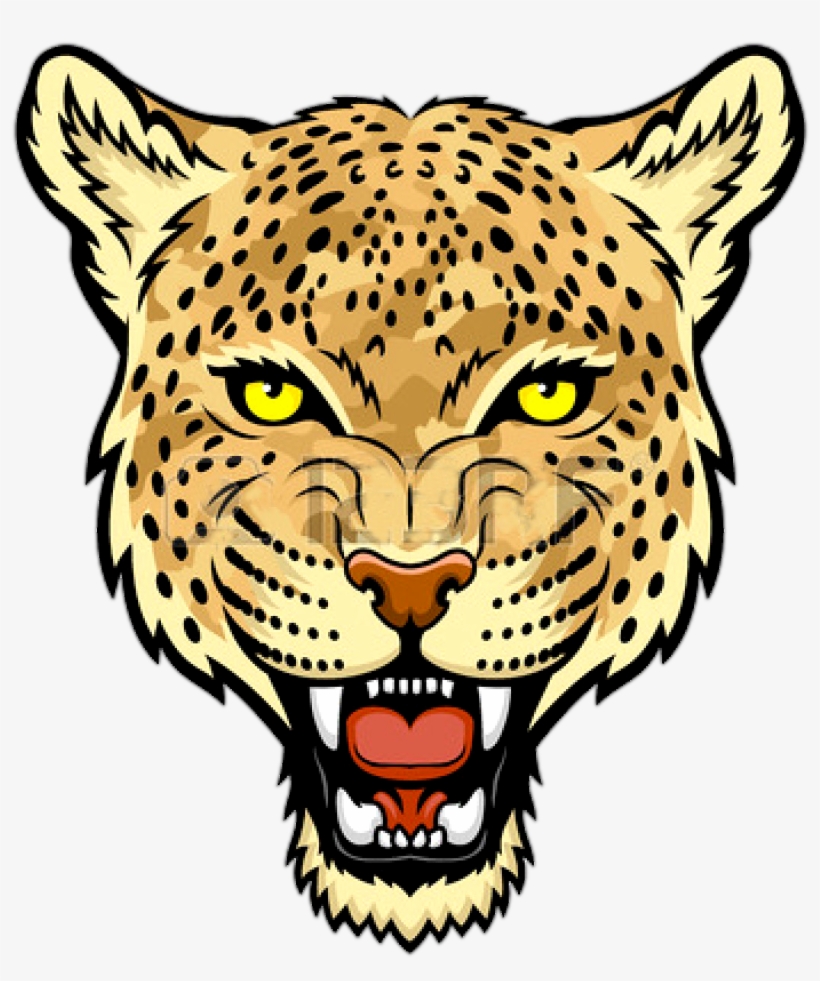 Jaguar Face Transparent Picture - Leopard Face Clip Art, transparent png