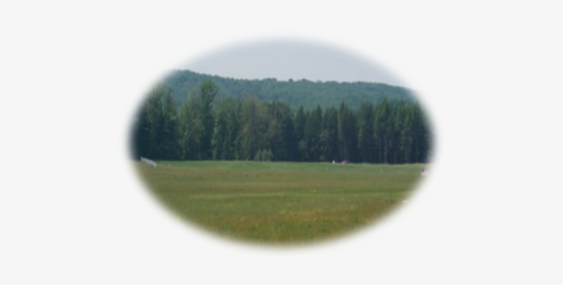 A Tribute To The Heroes Of 9-11 - Larch, transparent png