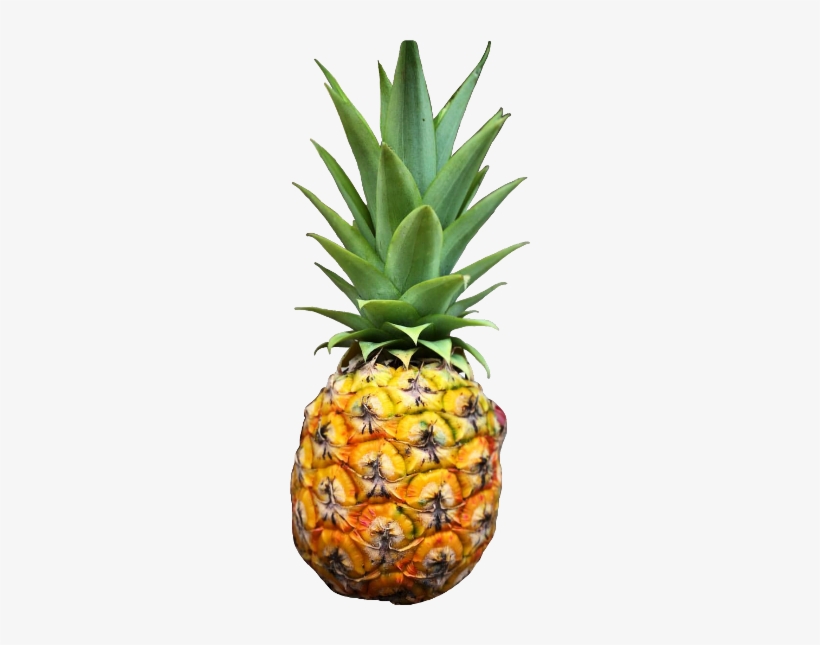 Scpineapple Pineapple Freetoedit Fruit Tropical - Pineapple, transparent png