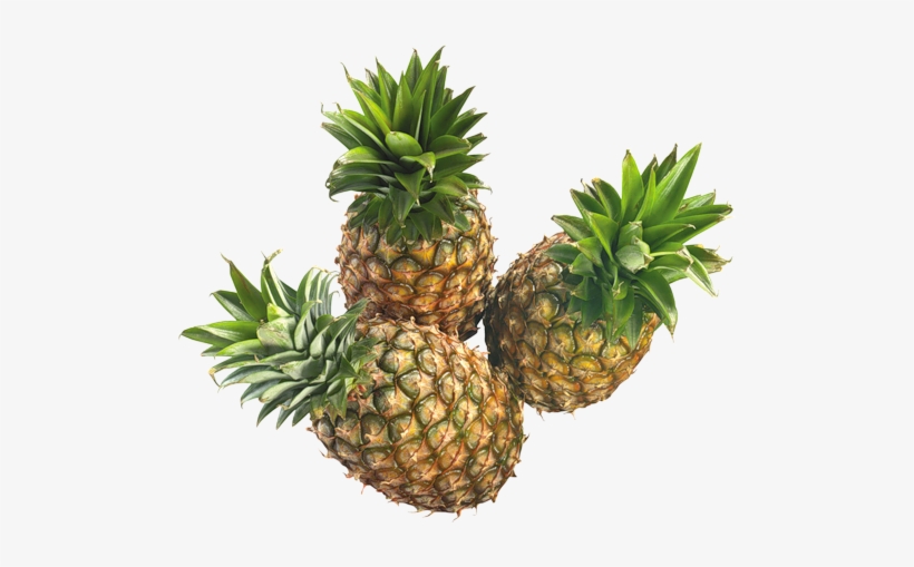 78d533d7bce4 - 菠蘿 鳳梨, transparent png